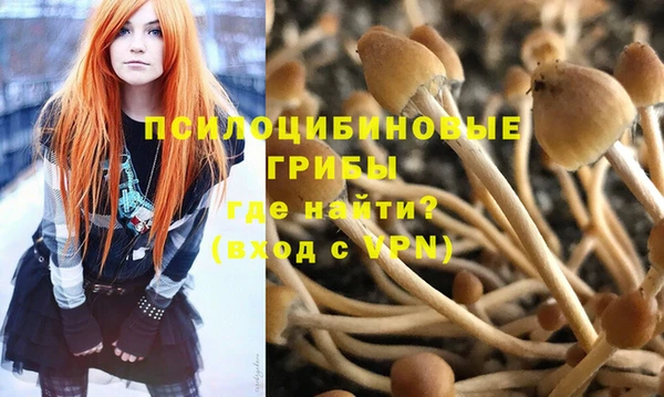 дурь Абинск